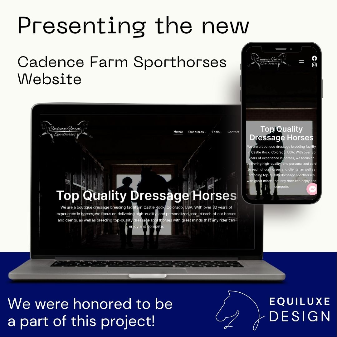 Cadence Farm Sporthorses